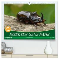 INSEKTEN GANZ NAHE (hochwertiger Premium Wandkalender 2025 DIN A2 quer), Kunstdruck in Hochglanz