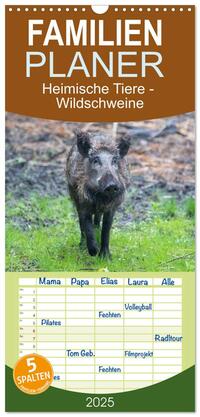 Familienplaner 2025 - Heimische Tiere - Wildschweine mit 5 Spalten (Wandkalender, 21 x 45 cm) CALVENDO