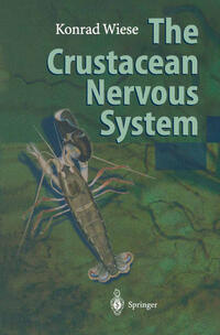 The Crustacean Nervous System