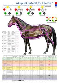 Akupunkturtafel für Pferde 1  +  2