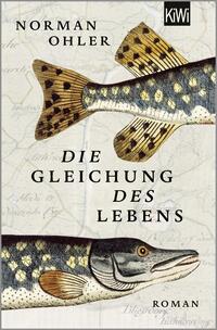 Die Gleichung des Lebens