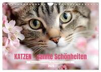 Katzen - sanfte Schönheiten (Wandkalender 2025 DIN A4 quer), CALVENDO Monatskalender