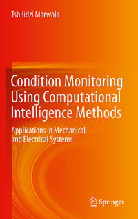 Condition Monitoring Using Computational Intelligence Methods