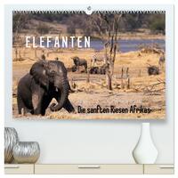 Elefanten - Die sanften Riesen Afrikas (hochwertiger Premium Wandkalender 2025 DIN A2 quer), Kunstdruck in Hochglanz