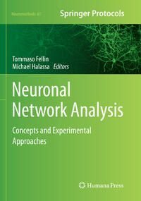 Neuronal Network Analysis