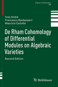 De Rham Cohomology of Differential Modules on Algebraic Varieties