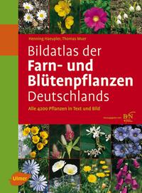 Bildatlas der Farn- und Blütenpflanzen Deutschlands