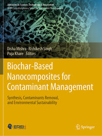 Biochar-Based Nanocomposites for Contaminant Management