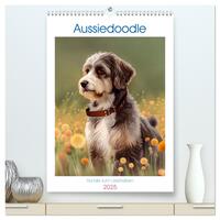 Aussiedoodle - Hunde zum Liebhaben (hochwertiger Premium Wandkalender 2025 DIN A2 hoch), Kunstdruck in Hochglanz