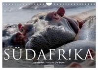 Südafrika - Die Tierwelt (Wandkalender 2025 DIN A4 quer), CALVENDO Monatskalender