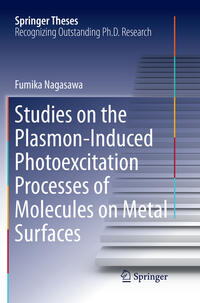 Studies on the Plasmon-Induced Photoexcitation Processes of Molecules on Metal Surfaces