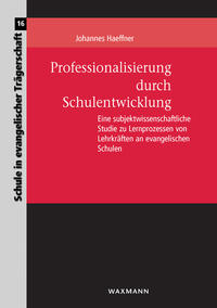 Professionalisierung durch Schulentwicklung