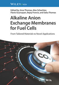 Alkaline Anion Exchange Membranes for Fuel Cells