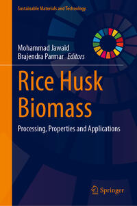 Rice Husk Biomass