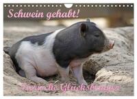 Schwein gehabt! (Wandkalender 2025 DIN A4 quer), CALVENDO Monatskalender