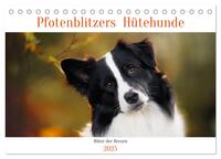 Pfotenblitzers Hütehunde - Hüter der Herzen (Tischkalender 2025 DIN A5 quer), CALVENDO Monatskalender