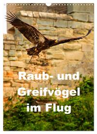 Raub- und Greifvögel im Flug (Wandkalender 2025 DIN A3 hoch), CALVENDO Monatskalender