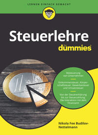 Steuerlehre für Dummies