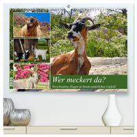 Wer meckert da? (hochwertiger Premium Wandkalender 2025 DIN A2 quer), Kunstdruck in Hochglanz