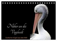 Näher an die Vogelwelt - Exotische Vögel aus aller Welt (Tischkalender 2025 DIN A5 quer), CALVENDO Monatskalender