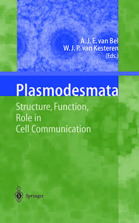 Plasmodesmata