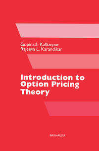 Introduction to Option Pricing Theory