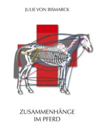 Zusammenhänge im Pferd