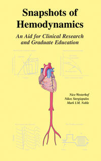 Snapshots of Hemodynamics