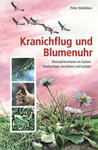 Kranichflug und Blumenuhr