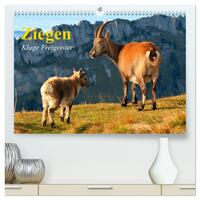 Ziegen. Kluge Freigeister (hochwertiger Premium Wandkalender 2025 DIN A2 quer), Kunstdruck in Hochglanz