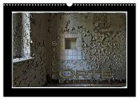 Stille Orte Beelitz (Wandkalender 2025 DIN A3 quer), CALVENDO Monatskalender