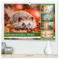 Naturparadies Wald (hochwertiger Premium Wandkalender 2025 DIN A2 quer), Kunstdruck in Hochglanz