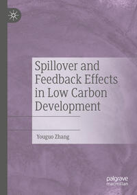 Spillover and Feedback Effects in Low Carbon Development