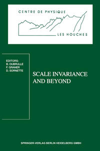 Scale Invariance and Beyond