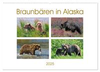 Braunbären in Alaska (Wandkalender 2025 DIN A2 quer), CALVENDO Monatskalender