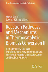 Reaction Pathways and Mechanisms in Thermocatalytic Biomass Conversion II