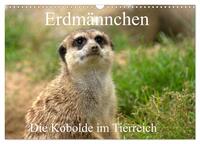 Erdmännchen - Die Kobolde im Tierreich (Wandkalender 2025 DIN A3 quer), CALVENDO Monatskalender