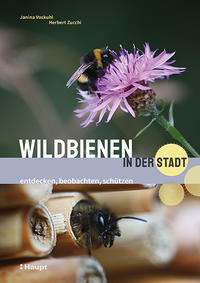 Wildbienen in der Stadt