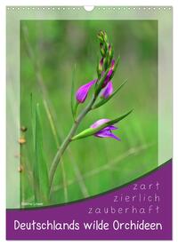 Deutschlands wilde Orchideen (Wandkalender 2025 DIN A3 hoch), CALVENDO Monatskalender