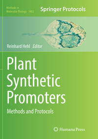 Plant Synthetic Promoters