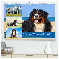 Berner Sennenhunde - Traumhunde mit Charme (hochwertiger Premium Wandkalender 2025 DIN A2 quer), Kunstdruck in Hochglanz