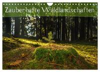 Zauberhafte Waldlandschaften (Wandkalender 2025 DIN A4 quer), CALVENDO Monatskalender