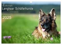 Zauberhafte Langhaar Schäferhunde (Wandkalender 2025 DIN A3 quer), CALVENDO Monatskalender