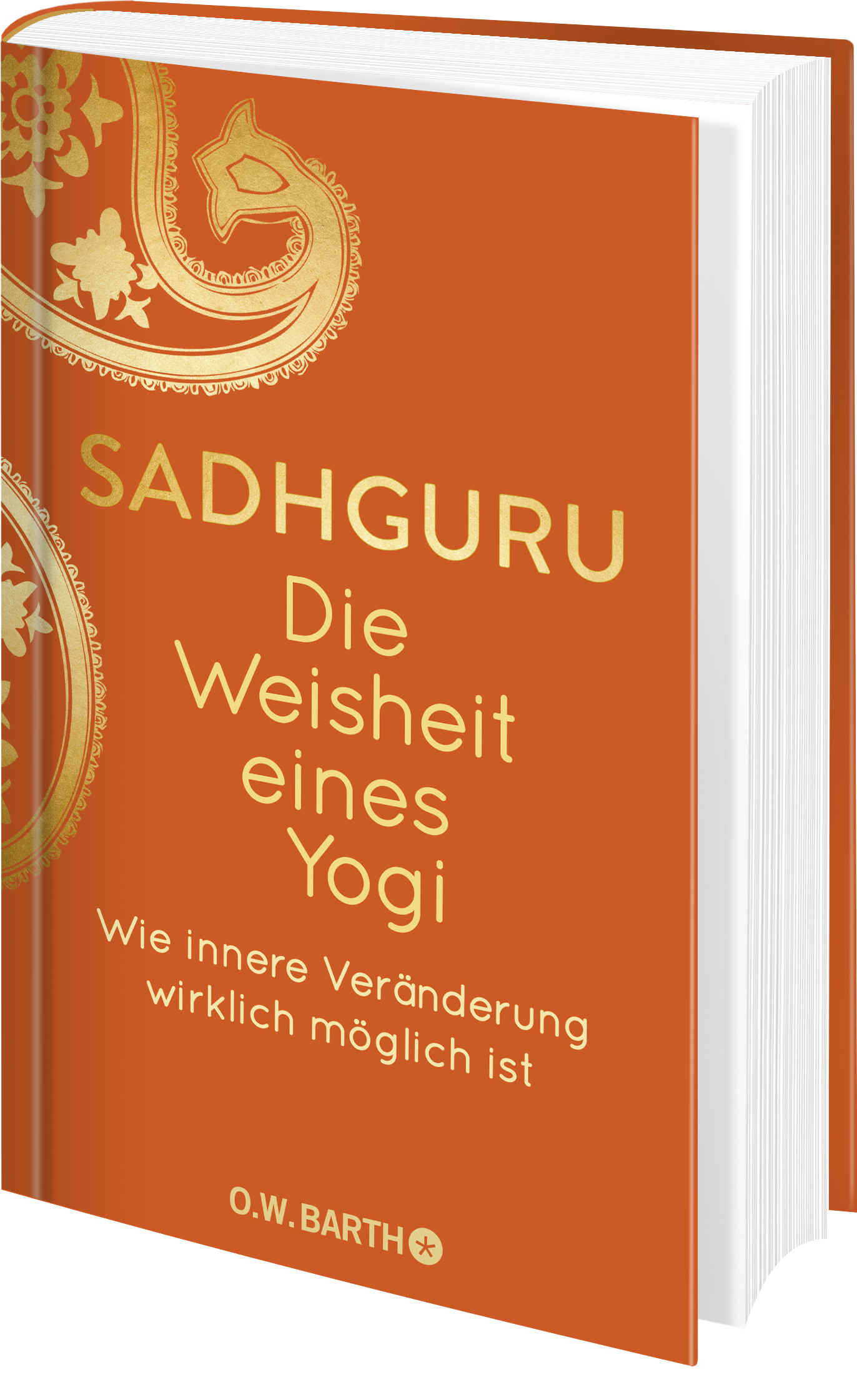 Die Weisheit eines Yogi