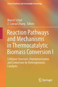 Reaction Pathways and Mechanisms in Thermocatalytic Biomass Conversion I