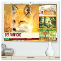 Der Rotfuchs. Flauschiger Geselle mit Köpfchen (hochwertiger Premium Wandkalender 2025 DIN A2 quer), Kunstdruck in Hochglanz