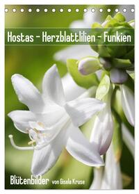 Hostas Herzblattlilien Funkien (Tischkalender 2025 DIN A5 hoch), CALVENDO Monatskalender