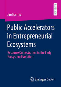 Public Accelerators in Entrepreneurial Ecosystems