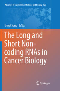 The Long and Short Non-coding RNAs in Cancer Biology