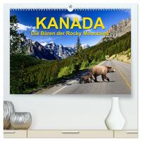 KANADA - Die Bären der Rocky Mountains (hochwertiger Premium Wandkalender 2025 DIN A2 quer), Kunstdruck in Hochglanz